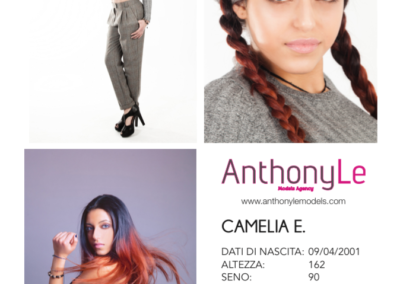 Anthony Le Models Agency